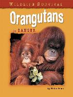 Orangutans in Danger