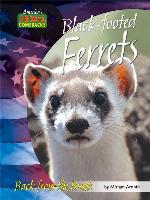 Black-footed Ferrets