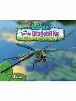 Speedy Dragonflies