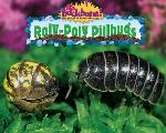 Roly-Poly Pillbugs