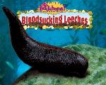 Bloodsucking Leeches