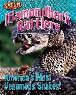 Diamondback Rattlers