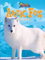 Arctic Fox
