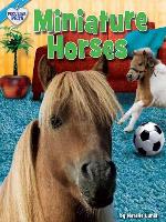Miniature Horses