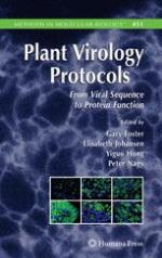Plant virology protocols : from viral sequence to protein function