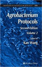 Agrobacterium protocols. Volume 344, Part 2