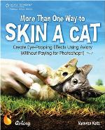 More Than One Way to Skin a Cat