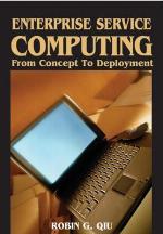Enterprise Service Computing