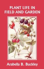 Plant Life in Field and Garden