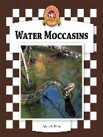 Water Moccasins