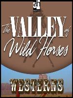 The Valley of Wild Horses