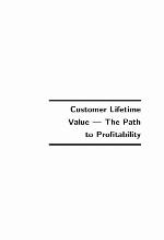 Customer lifetime value : the path to profitability