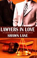 Lawyers In Love