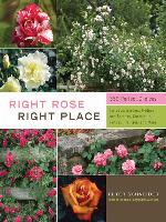 Right Rose, Right Place
