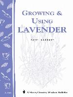 Growing & Using Lavender
