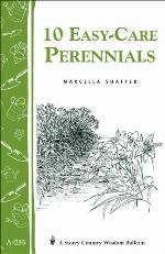 10 Easy-Care Perennials