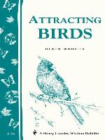 Attracting Birds