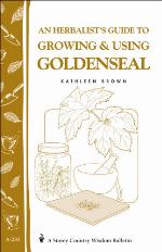 An Herbalist's Guide to Growing and Using Violets