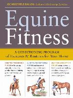 Equine Fitness