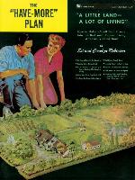 The "Have-More" Plan
