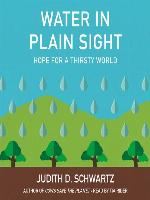 Water in Plain Sight