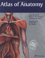 Atlas of Anatomy (Thieme Anatomy)