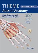 General Anatomy and Musculoskeletal System