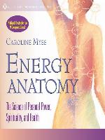Energy Anatomy