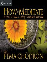 How to Meditate with Pema Chödrön