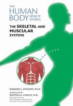 The Skeletal and Muscular Systems