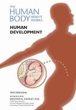 Human Development