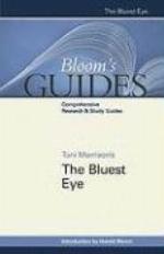 Toni Morrison's The Bluest Eye