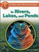 In Rivers, Lakes, and Ponds