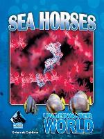 Sea Horses