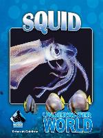 Squid