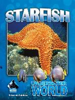 Starfish