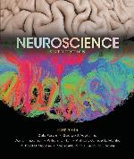Neuroscience
