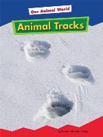 Animal Tracks