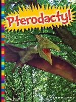 Pterodactyl