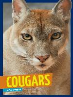Cougars