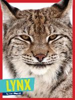Lynx