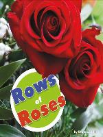 Rows of Roses