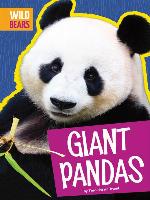 Giant Pandas
