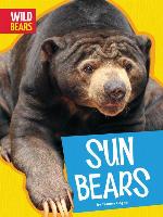 Sun Bears