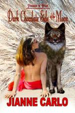 Dark Chocolate Side of the Moon