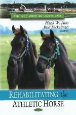 Rehabilitating the Athletic Horse