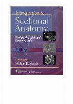 Introduction to Sectional Anatomy (Point (Lippincott Williams &amp; Wilkins))