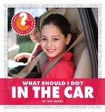 What Should I Do? in the Car