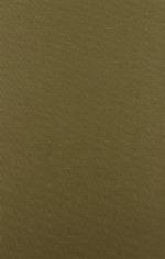 The Faith of Fallen Jews