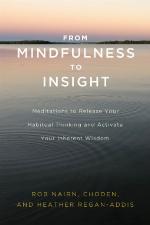 From Mindfulness to Insight